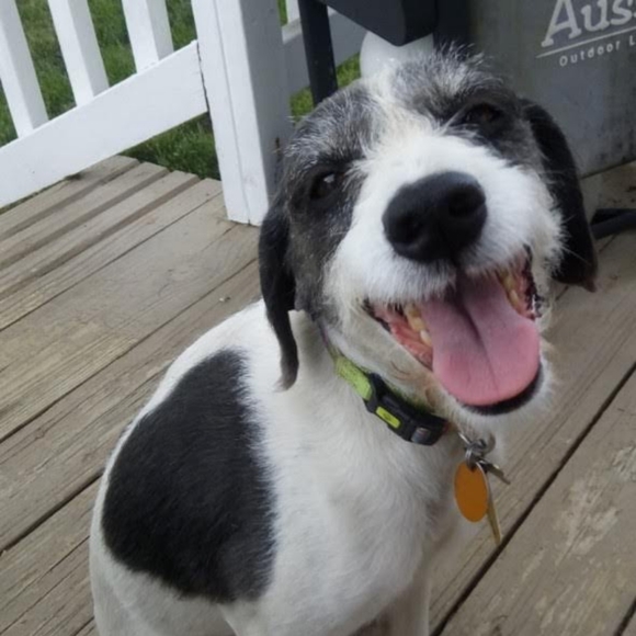 Meet your Posher, Lynn - Picture 1 of 6